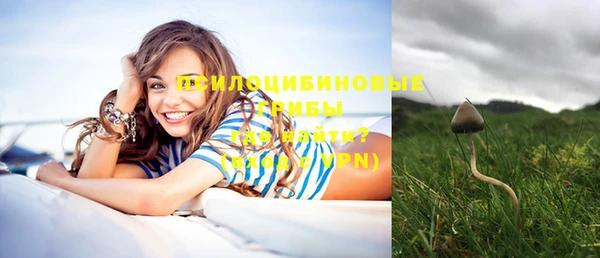 мяу мяу мука Осинники