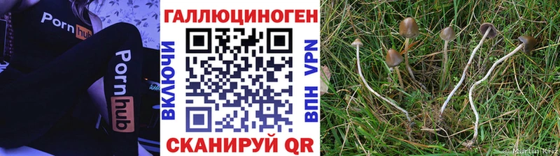 Галлюциногенные грибы ЛСД  Магадан 