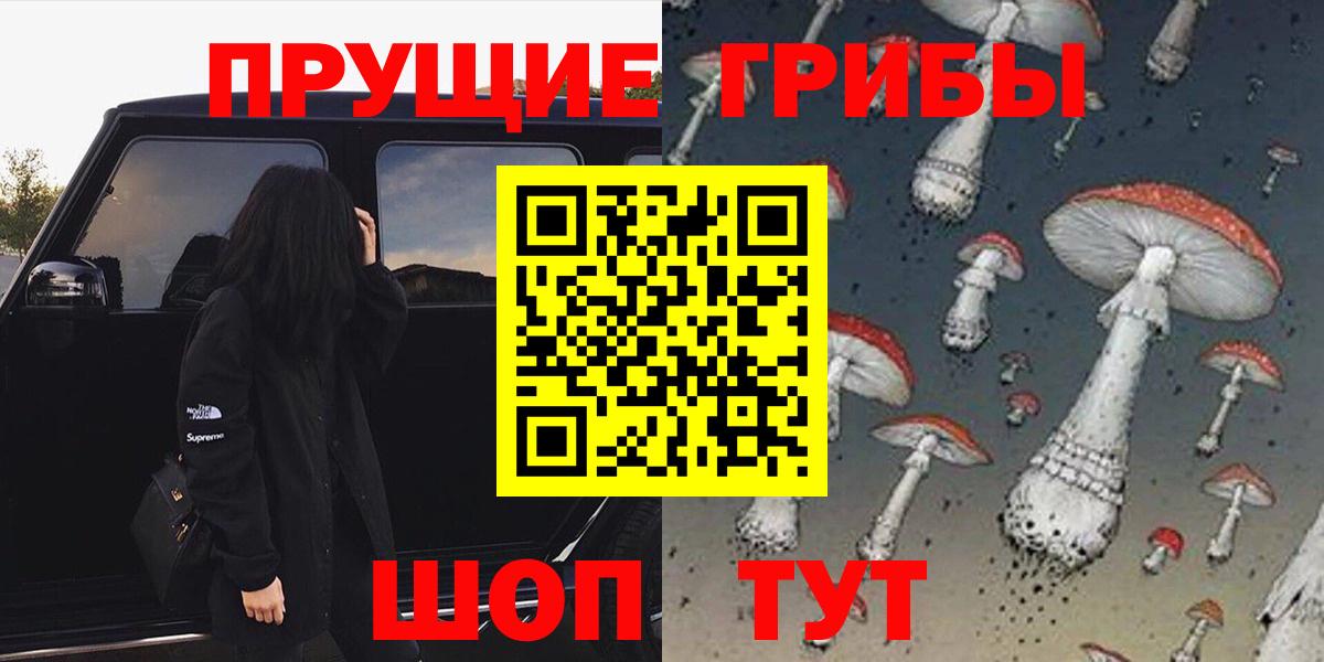 Псилоцибиновые грибы GOLDEN TEACHER  купить наркотик  Магадан  Вход с VPN 